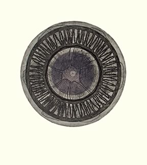 litografi